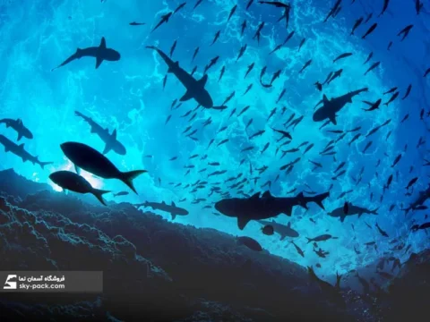 آسمان مجازی طرح دنیای زیر آبهای آزاد