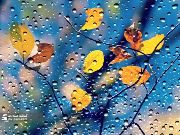 آسمان مجازی طرح پاییزی - Image 2
