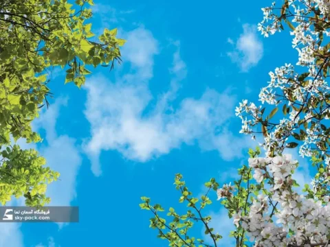 آسمان مجازی طرح درختان