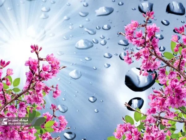 آسمان مجازی طرح گل و قطره - Image 2