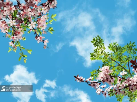 آسمان مجازی طرح درختان بهاری