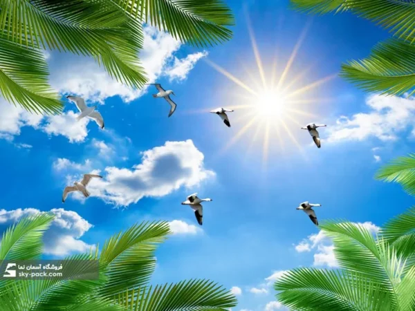 آسمان مجازی آسمان آبی و پرندگان - Image 2