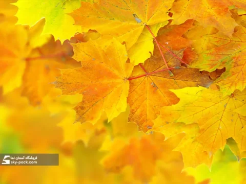 آسمان مجازی طرح پاییز