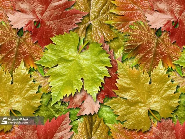 سقف تایل مجازی طرح برگ پاییزی - Image 2