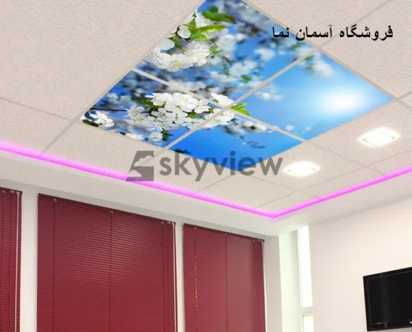 سقف آسمان مجازی شکوفه - Image 2