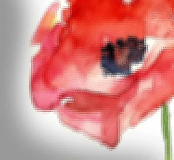 پوستر کاغذ دیواری گل شقایق قرمز - Image 2
