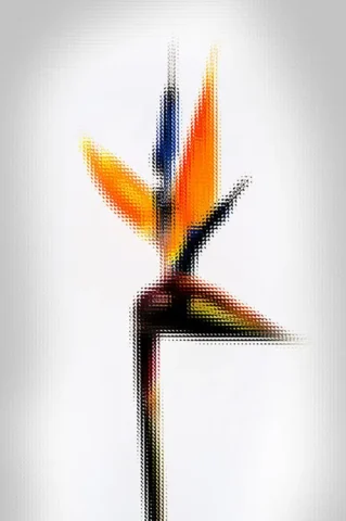 پوستر دیواری گل طرح گل هنری