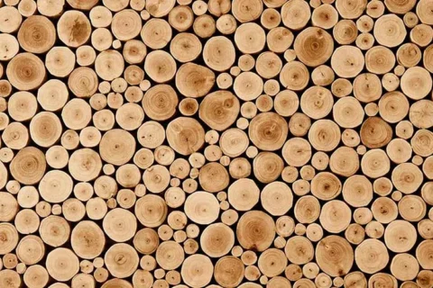 کاغذ دیواری سه بعدی طرح چوب