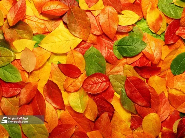 آسمان مجازی طرح پاییز رنگین - Image 2
