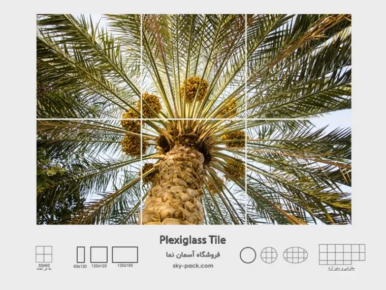 1734684927820.webp آسمان مجازی طرح باغ نخل - Image 1