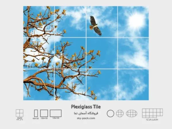آسمان مجازی طرح پهنه آسمان و عقاب - Image 2