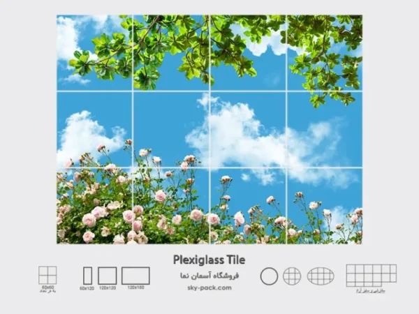 آسمان مجازی تابستان و رزها - Image 2