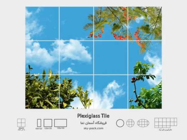 آسمان مجازی درخت برگ سوزنی - Image 2