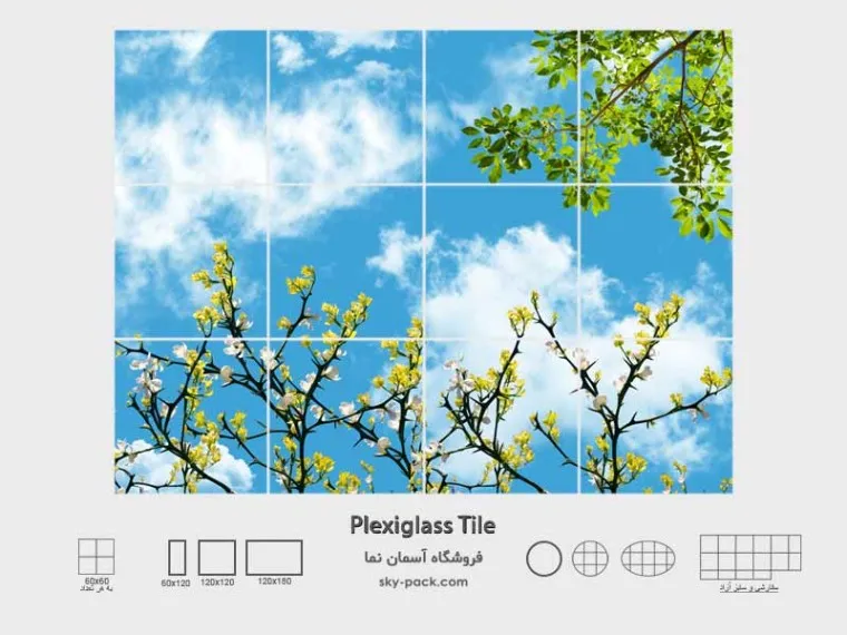 1734767951879.webp آسمان مجازی گلهای زرد و سفید - Image 1