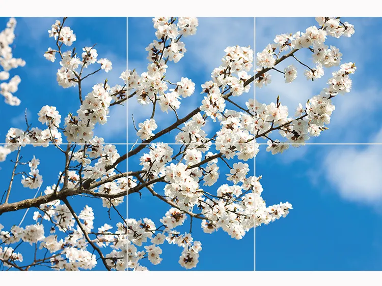 1734847778199.webp آسمان مجازی طرح شکوفه - Image 1