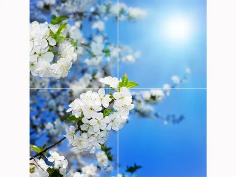 سقف آسمان مجازی شکوفه