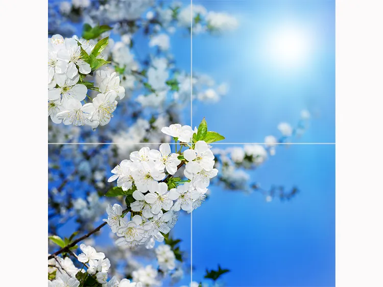 1734847806166.webp سقف آسمان مجازی شکوفه - Image 1