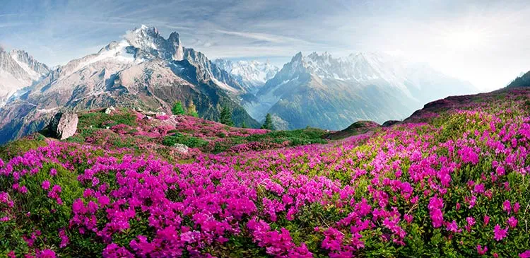 1735042544387.webp پوستر سه بعدی طبیعت کوهستان - Image 1