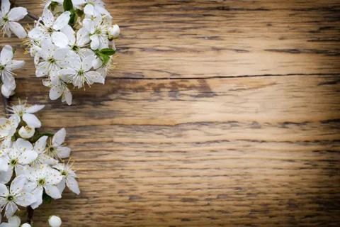 پوستر دیواری طرح چوب و شکوفه های یاس
