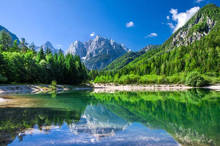 1736322834282.webp پوستر سه بعدی منظره طرح طبیعت - Image 1