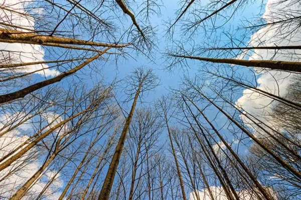 پوستر سه بعدی منظره آسمان - Image 2