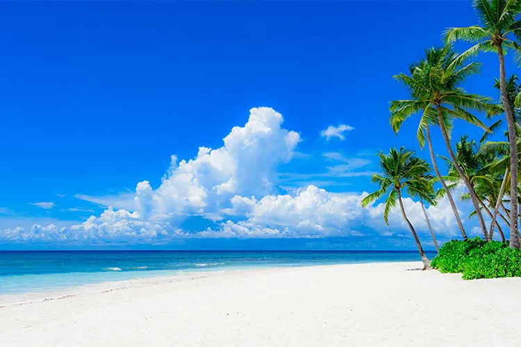 1736579683343.webp کاغذ دیواری منظره تابستانی - Image 1