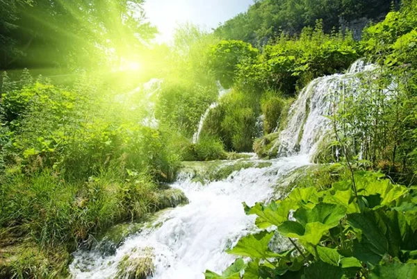 کاغذ دیواری سه بعدی جنگل و رودخانه - Image 2