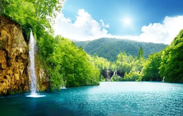 کاغذ دیواری سه بعدی طرح جنگل - Image 2
