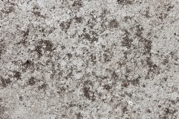 پوستر دیواری طرح سیمان قدیمی - Image 2