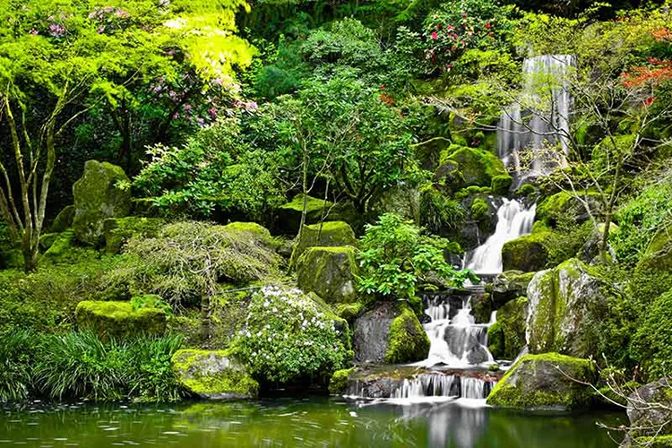 1737612708670.webp پوستر کاغذ دیواری آبشار سبز - Image 1