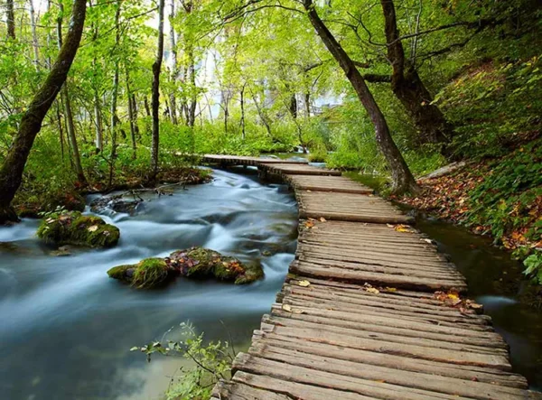 پوستر کاغذ دیواری رودخانه و راه چوبی - Image 2