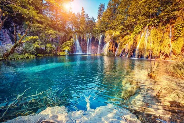 کاغذ دیواری پارک ملی فرانسه - Image 2