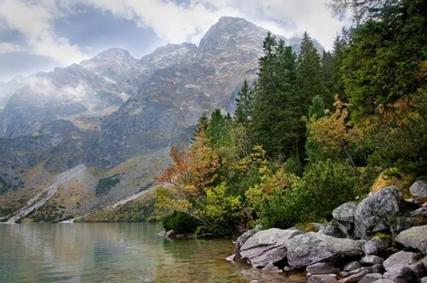 کاغذ دیواری دریاچه زمستان - Image 2