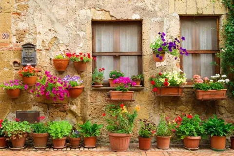 پوستر دیواری طاقچه و گلهای بهاری