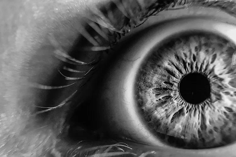 1738485792956.webp بوم کنواس The eye - Image 1