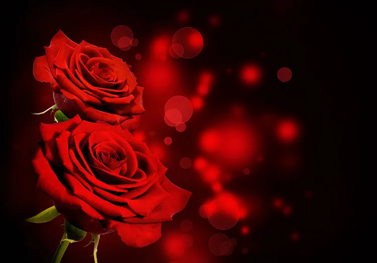 1738820823630.webp پوستر دیواری گل رز ولنتاین - Image 1
