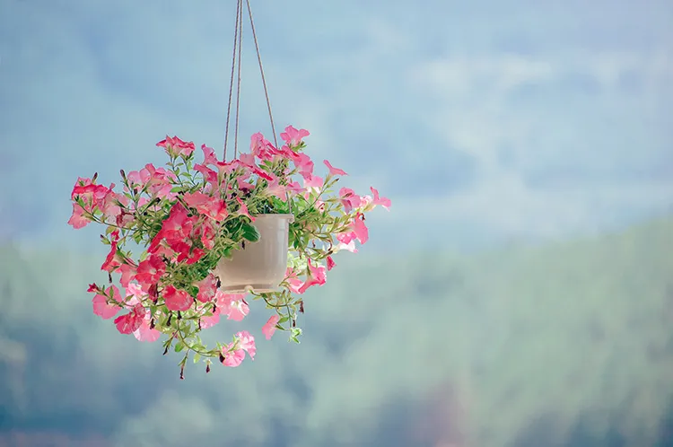 1738822216490.webp پوستر دیواری گل فانتزی - Image 1